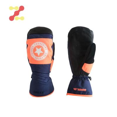 China New Touch Screen Winter Thinsulate Waterproof Warm Women Ski Mitt Gloves for sale