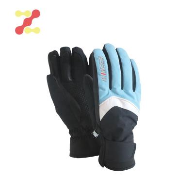 China Leather Gloves Ski Gloves Winter Waterproof Touchscreen Palm Softshell/Winter Custom Made Leather Slim Stylish Fashion Warm Leather Gloves for sale