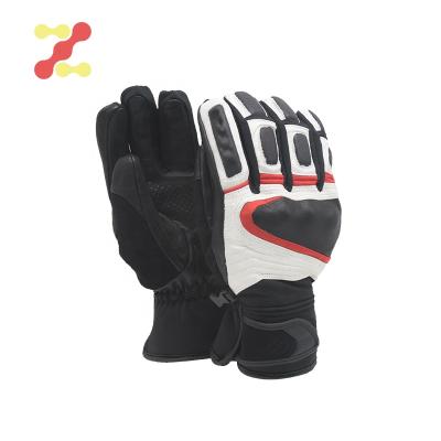 China Knuckle Proctor Warm Ski Gloves Waterproof Manufacturer Motorcycle Leather Glove for sale