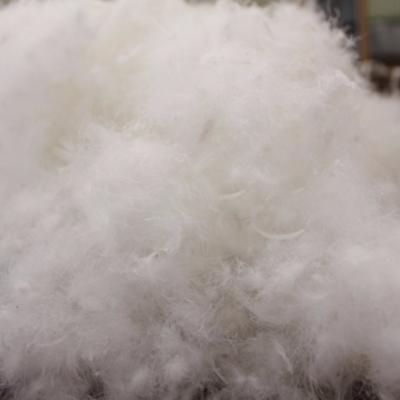 China High Cleanliness Natural Feather Top Selling Washed Goose Goose Down Soft Duck Down Feather For Home Textile Filling for sale