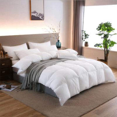 China 2021 Fashions Comfortable Home 100% Cotton Comforter Goose Down Machine Washable Winter Bedding Comforter Set for sale