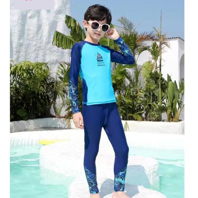 China Breathable Long Sleeves And Two-Piece Children'S Swimsuit Kids Swimwear Long Pants Sunscreen Sleeves And Long Pants for sale