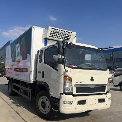 Cina 10 tonnellate di carico LHD RHD HOWO camion congelatore con scatola da 6 m in vendita