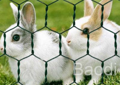 China Het Kippegaas van Home Depot Het Opleveren, het Groene Met een laag bedekte Kippegaas Schermen voor Dierentuinen Te koop