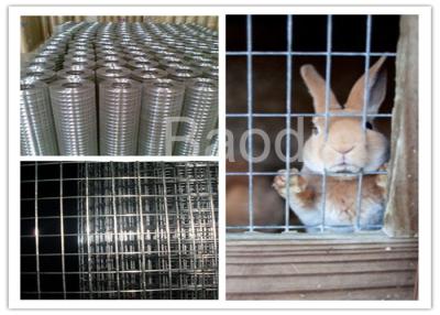 China Electro Welded Galvanized Steel Hardware Cloth For Rabbit Animal Fence for sale