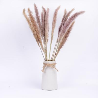 China Small Natural Dry Artificial Fluffy Pampas Grass Rose Flowers Home Decor Bouquet Custom Wholesale Home Decoration for sale