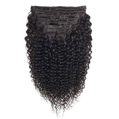 China Jerry Curl 100% Clip In Hair Extensions Virgin Brazilian Hair Curly Wave Hair Clip In Extensions for sale