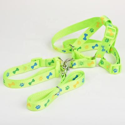 China DETACHED hunting dog supplies, interesting packaged dog collar and leash, hot selling dog leash with collar for sale