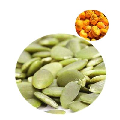 China 2021 new season China Inner Mongolia fresh pumpkin seeds for sale