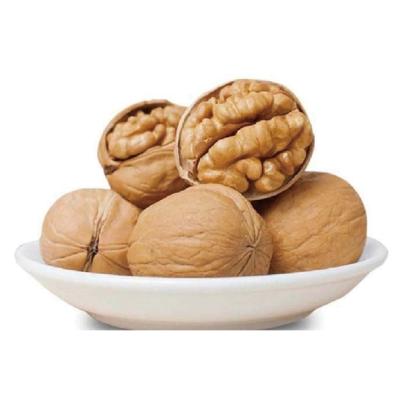 China 2020 Excellent Quality Thin-skin Dry Paper Shell Walnut With Bulk Shell Wholesale for sale