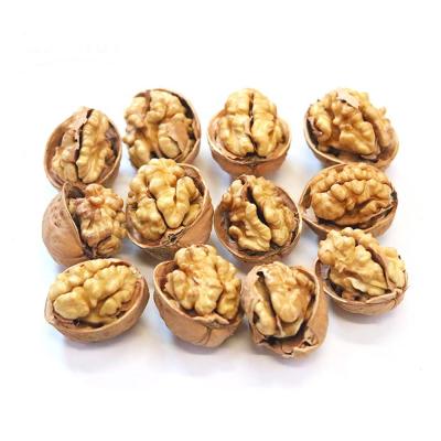 China Factory Supply Lowest Price Factory Walnuts Dry Nuts for sale