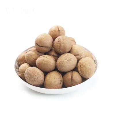 China Manufacturer Wholesale Premium Unshelled Walnut China Dried Organic Walnut Kernels for sale