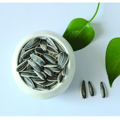 China Dry 2021 Chinese sunflower seeds for human consumption for sale