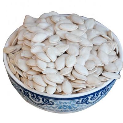 China Wholesale Raw Kernel China Pumpkin Fruit Seed Dry Hybrid Pumpkin Seeds Large Seeds For Planting for sale