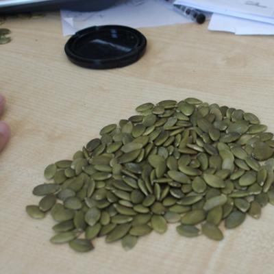 China Best Quality Kernel Bright Pumpkin Seed Newly Worked Kernel Dry Pumpkin Seeds for sale