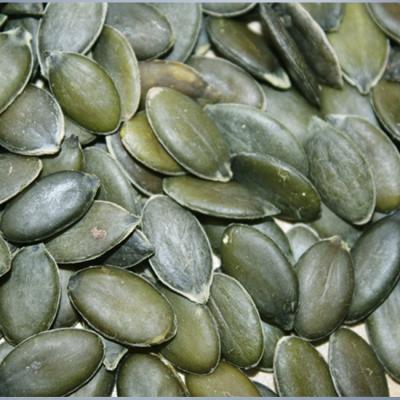 China Factory Competitive Price New Cultivation Dry Shiny Pumpkin Seed Core Pumpkin Seed Kernels Raw Raw for sale