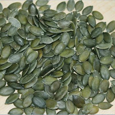 China dry green pumpkin seeds sold for export pumpkin kernel seeds for sale