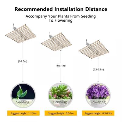 China Starting from seed led grow light bulb 1000w replacement ideal for seedling to harvest growth for sale