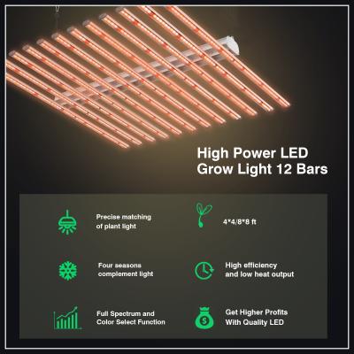 China Seed starting 12 bars cob lm301H LM301B indoor hydroponic cob led grow light led grow lights full spectrum for sale