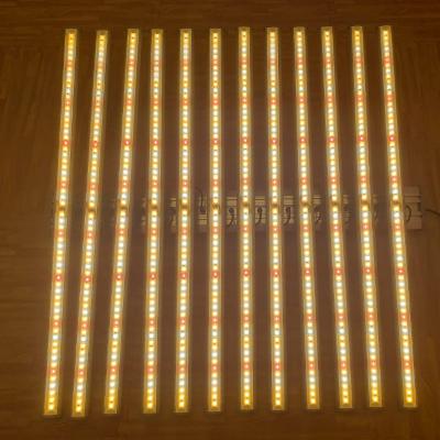 China Seed Seed Planting LUXINT Even Distribution Design Fanless Grow Led Light For Hydroponic Greenhouse Grow for sale