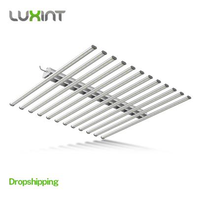 China US CA Best Free Shipping LUXINT Eco-Friendly Led Bull Bar Lights 720W Led Grow Light for sale