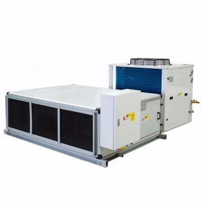 China Hotels Chinese Sanhe Manufacturer 3HP 5HP 6HP 8HP 10HP Clean Room Air Conditioning for sale