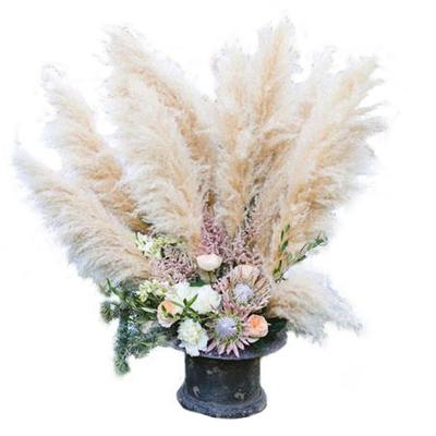 China New home decoration Internet celebrity dried tubular flower arrangement decoration bouquet living room furnishings wedding shooti for sale