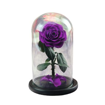 China Preserved Flower Gift Box Preserved Little Fresh Flower Prince Rose Glass Cover Christmas Valentine's Day Handmade for sale