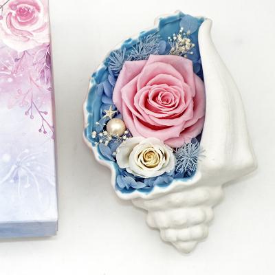 China Hot sale custom made popular home decoration popular product preserved blue flowers conch valentine's day gift for sale