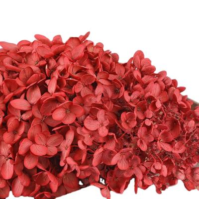 China Preserved Flower Valentine's Day Preserved Flowers Small Leaf DIY Wooden Hydrangea Scattered Petals Preserved Flowers Rose Immortal Flower for sale