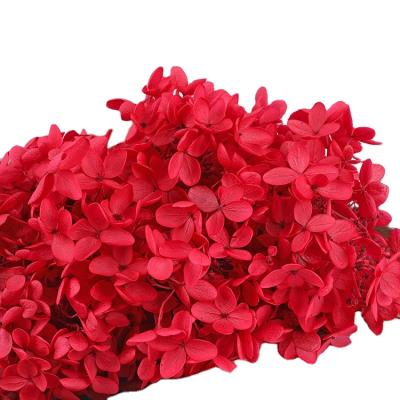 China Preserved Flower Wholesale DIY Preserevd Natural Artificial Flower Hydrangea For Wedding Decor for sale