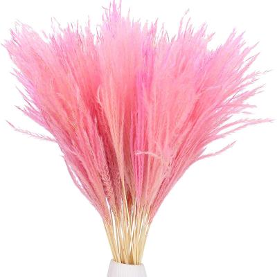 China Real Plants Customized Home Decoration Large Faux Pampas Artificial Pampas Grass for sale