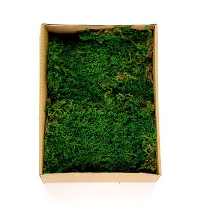 China Flower Preserved Moss Engineering Courtyard Landscape Moss Wall Factory Decorative Landscape for sale