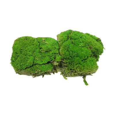 China Wedding Decoration Preserved Flower / Reindeer Moss Amazon Hit House / White Hair / Wall Decor Preserved To Wedding Decor for sale