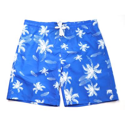 China custom mens 3d anti wrinkle shorts in digital print design kids boy beach shorts quick dry anti wrinkle 3d printed for sale