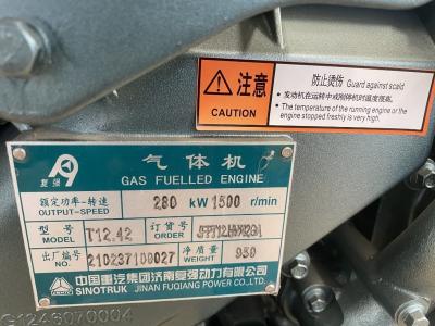 China T140GF-S Genset Model T12-1 Engine Model Sinotruk Fuqiang Power 180kw Gas Generator for sale