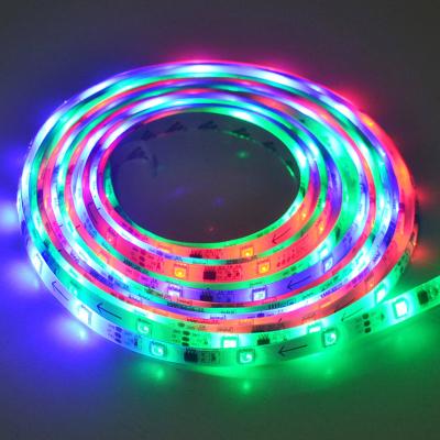 China 5050RGB LANDSCAPE Lamp External Control IC16703/1903 Running Phantom Light With 12V LED Light Strip for sale