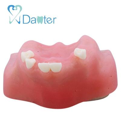 China Wholesale Dental Hospital Clinic University Sinus Lift Practice Model with Resin and Silicone Gum for sale