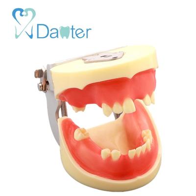 China Hospital Clinic University China Manufacture Dental Implant Practice Model With Silicone Gums For Student Practice for sale