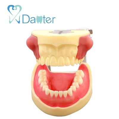 China Hospital Clinic University New Design Dental Teeth Model Incision Pus Removal Practice Model for sale