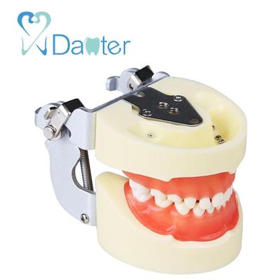 China Professional Dental Standard Model Hospital Clinic University Milk Tooth Pediatric Practice Model With Manikin for sale