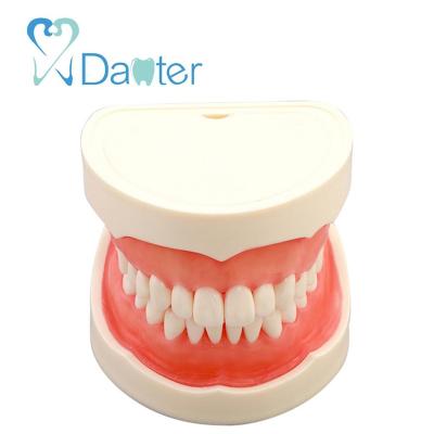 China Hospital Clinic University Hot Selling Baby Dental Extraction Teeth Models With Soft Gum For Practice Extraction for sale