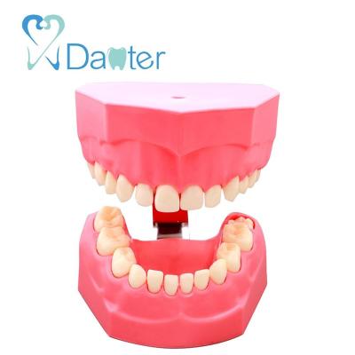 China The Most Popular 2018 Hospital Clinic University Tooth Brushing Demonstration Model Baby For Practice for sale