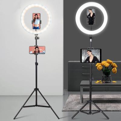 China Wholesale PORTABLE 6-14 inch Selfie Ring Light with Tripod Stand, Mobile Stand Remote Photography Led Fill Light for sale