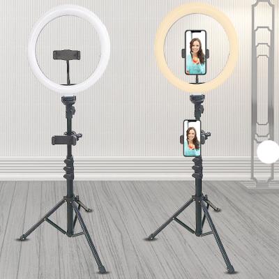 China New 10 Inch Selfie LED Circle Ring Light 3200K-6500K PORTABLE Photography Make Up Ring Light Lamp With Stable Tripod for sale