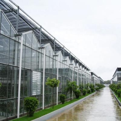 China Various PE agricultural greenhouses which include multi span film greenhouse /galvanized steel structure tropical greenhouse /hydro for sale