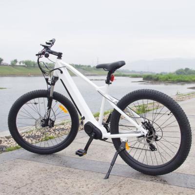 China Aluminum Alloy Tft Show Electric Mountain Bike Mid Drive With 48V10ah Battery for sale