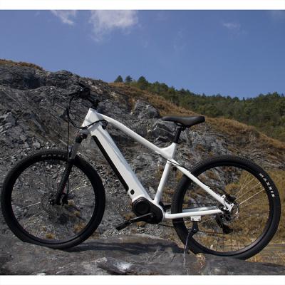 China Aluminum Alloy Man 2021 Electric Mountain Bike Bomber With Hydraulic Brake for sale