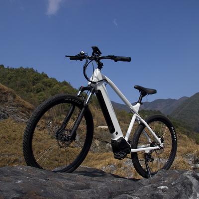 China Standard Fast Delivery Electric Bicycle Mountain Bike For Mtb Saddle for sale