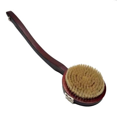 China All Natural Back Body Brush Bath Shower Scrubber With Long Handle And Soft Hog Bristle for sale